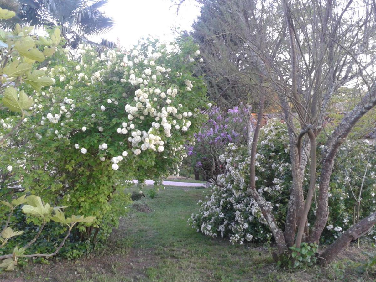 Le Logis Du Pradet Bed & Breakfast Moncrabeau Luaran gambar